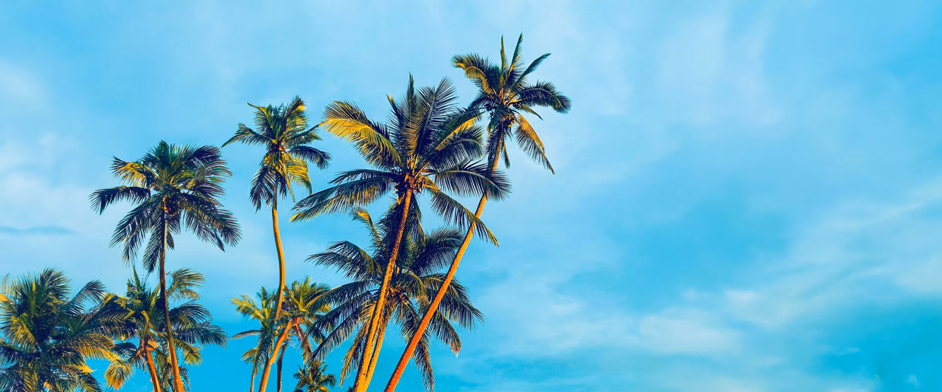 Private events at Pier 5 on Biscayne Bay